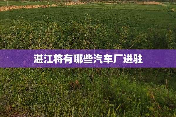 湛江将有哪些汽车厂进驻