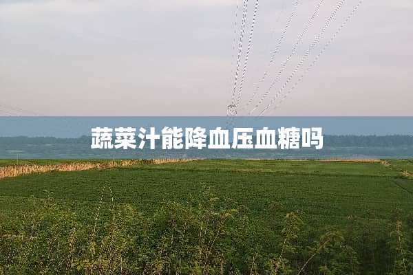 蔬菜汁能降血压血糖吗