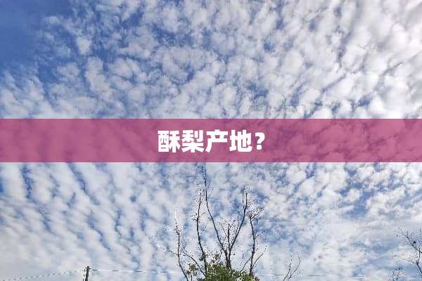 酥梨产地？