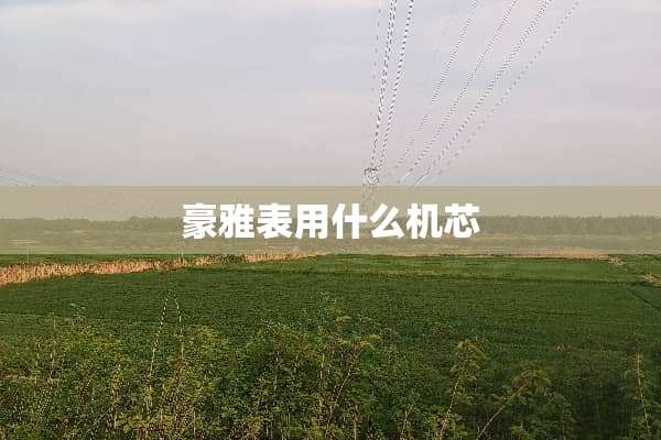 豪雅表用什么机芯