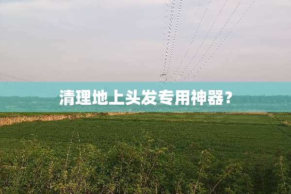 清理地上头发专用神器？