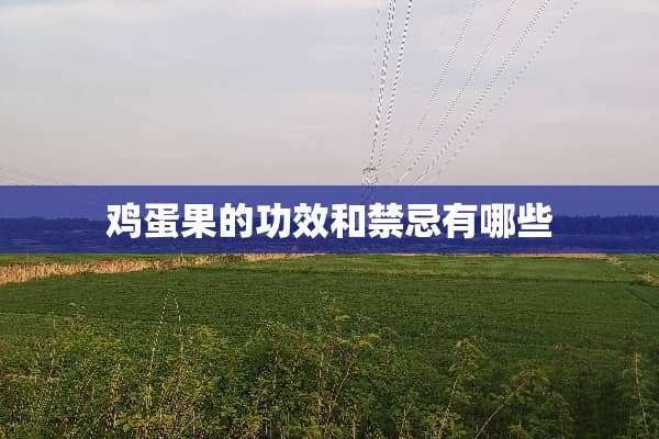 鸡蛋果的功效和禁忌有哪些