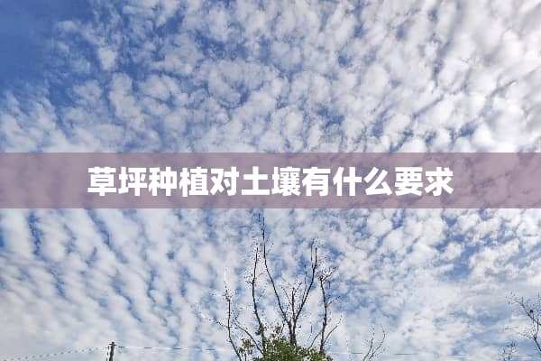 草坪种植对土壤有什么要求