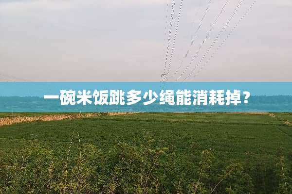 一碗米饭跳多少绳能消耗掉？