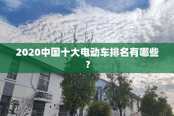 2020中国十大电动车排名有哪些？