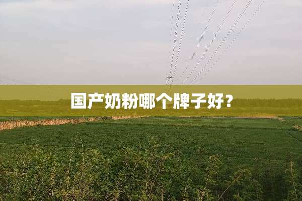 国产奶粉哪个牌子好？