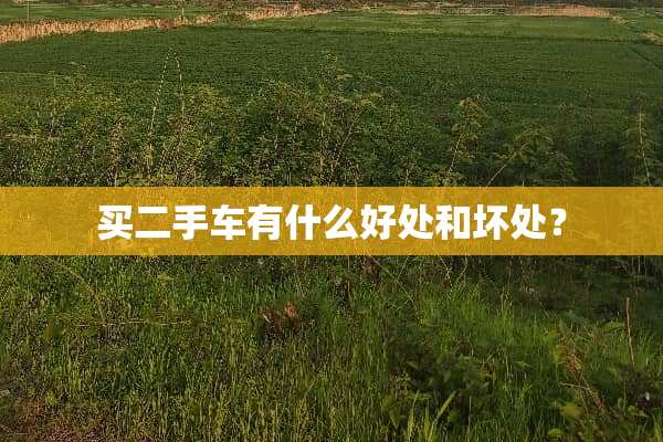 买二手车有什么好处和坏处？