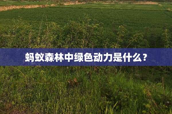蚂蚁森林中绿色动力是什么？
