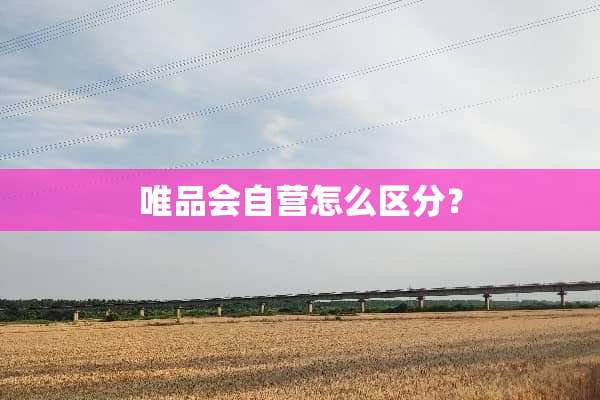 唯品会自营怎么区分？