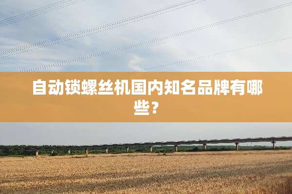 自动锁螺丝机国内知名品牌有哪些？