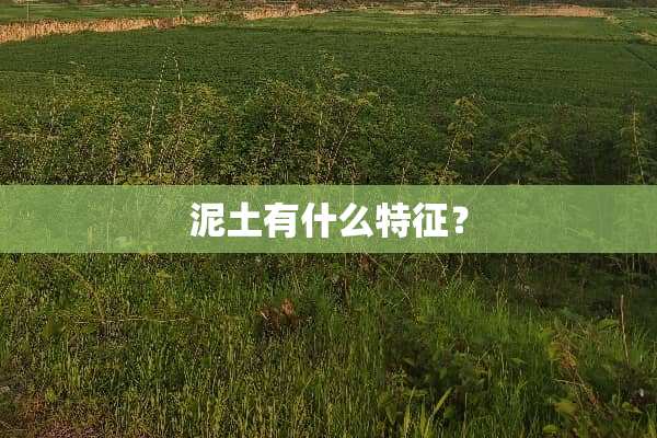 泥土有什么特征？