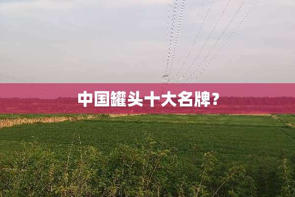 中国罐头十大名牌？