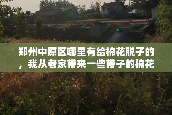 郑州中原区哪里有给棉花脱子的，我从老家带来一些带子的棉花想做被子。