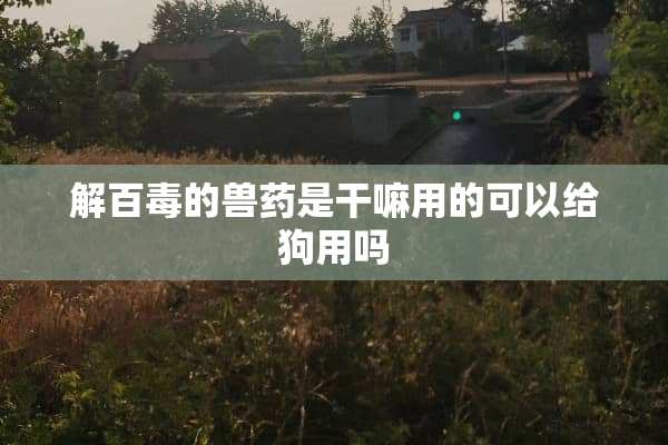 解百毒的兽药是干嘛用的可以给狗用吗