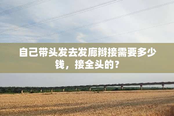 自己带头发去发廊辫接需要多少钱，接全头的？