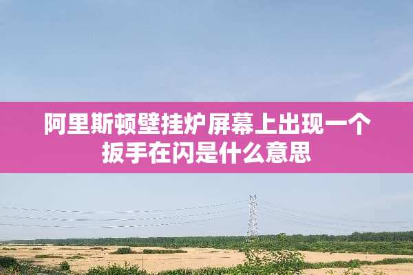 阿里斯顿壁挂炉屏幕上出现一个扳手在闪是什么意思
