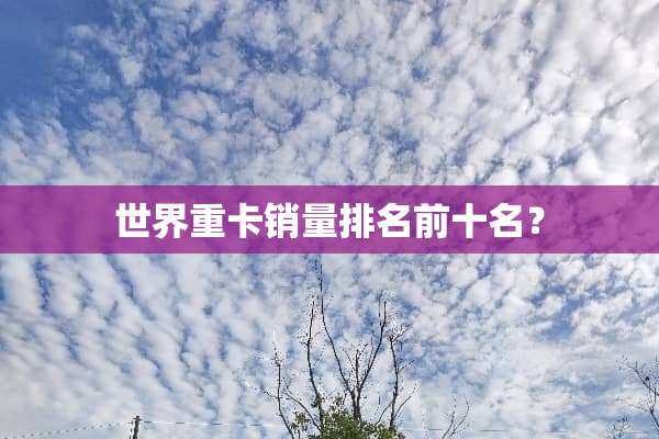 世界重卡销量排名前十名？