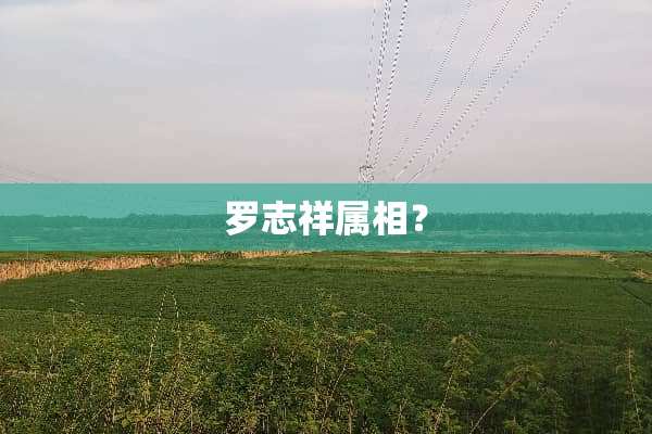 罗志祥属相？
