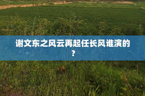 谢文东之风云再起任长风谁演的？
