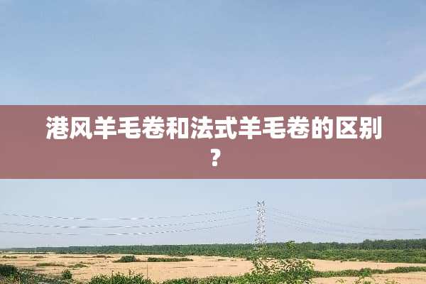 港风羊毛卷和法式羊毛卷的区别？