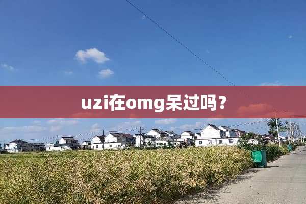 uzi在omg呆过吗？