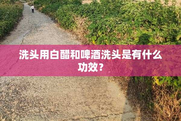 洗头用白醋和啤酒洗头是有什么功效？