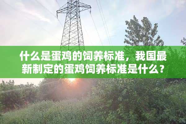 什么是蛋鸡的饲养标准，我国最新制定的蛋鸡饲养标准是什么？