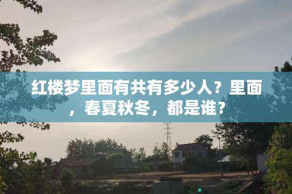 红楼梦里面有共有多少人？里面，春夏秋冬，都是谁？