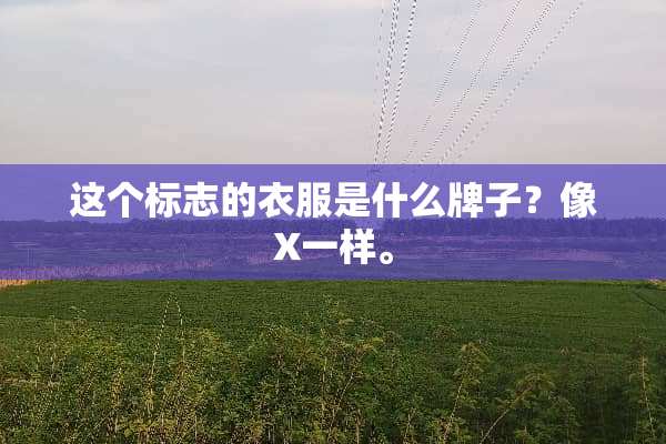 这个标志的衣服是什么牌子？像X一样。