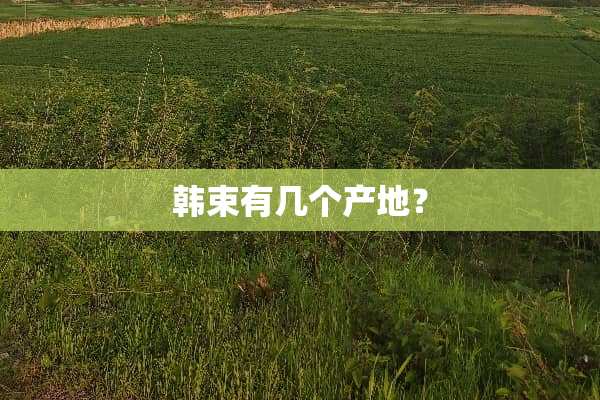 韩束有几个产地？