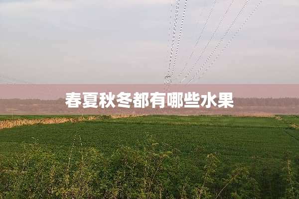 春夏秋冬都有哪些水果
