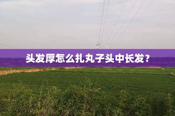 头发厚怎么扎丸子头中长发？