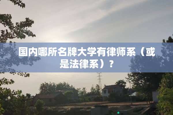 国内哪所名牌大学有律师系（或是法律系）？