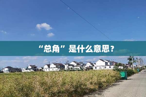 “总角”是什么意思？