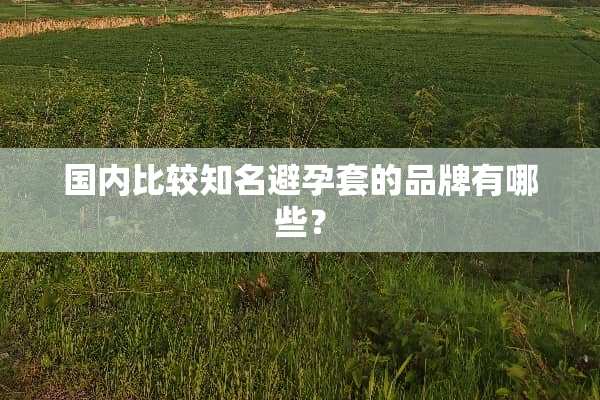 国内比较知名***的品牌有哪些？