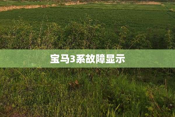宝马3系故障显示