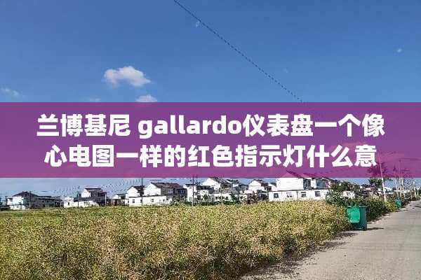兰博基尼 gallardo仪表盘一个像心电图一样的红色指示灯什么意思？