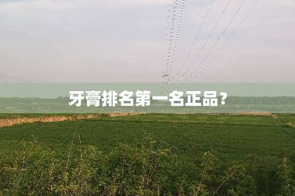 牙膏排名第一名正品？