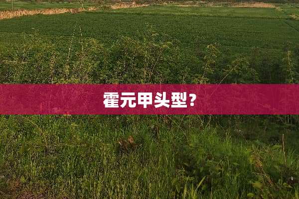 霍元甲头型？