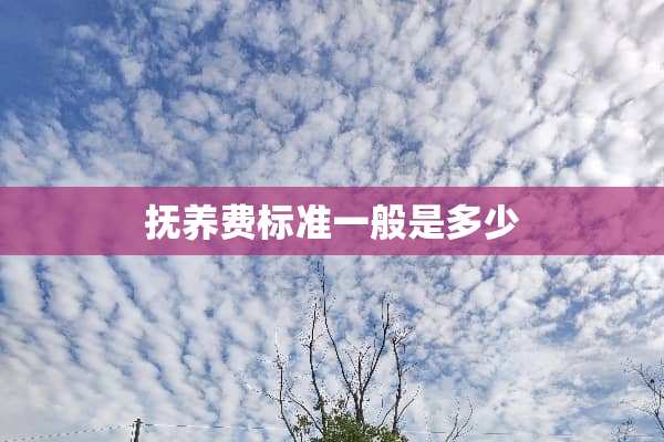 抚养费标准一般是多少