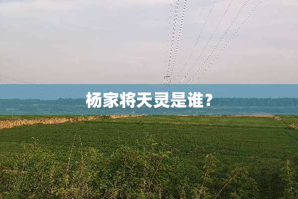 杨家将天灵是谁？