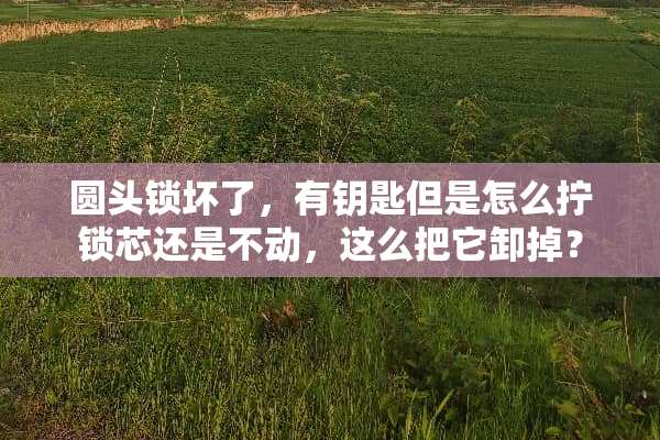 圆头锁坏了，有钥匙但是怎么拧锁芯还是不动，这么把它卸掉？