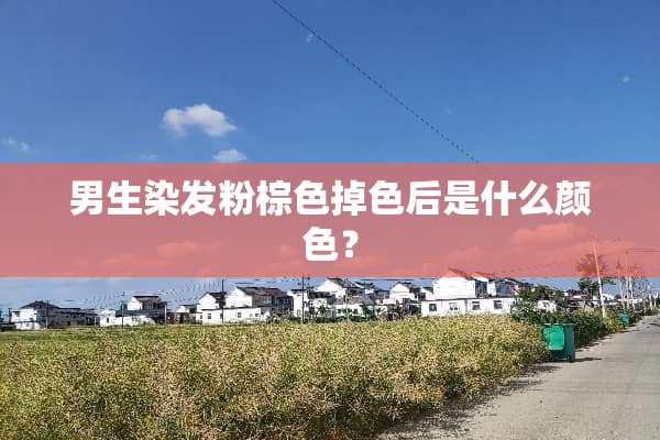 男生染发粉棕色掉色后是什么颜色？