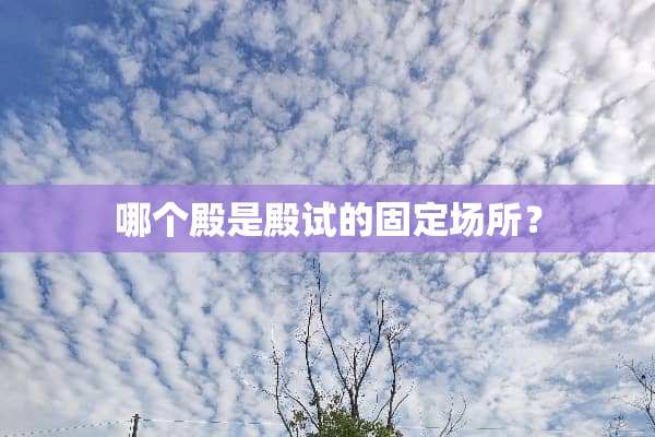 哪个殿是殿试的固定场所？