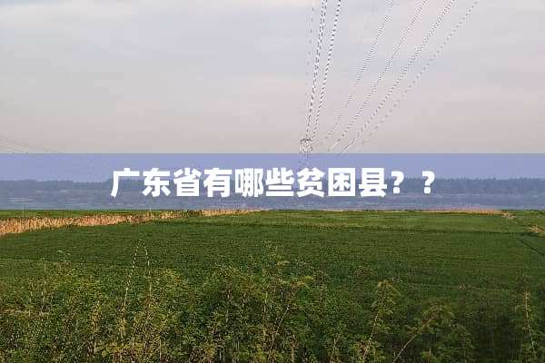 广东省有哪些贫困县？？