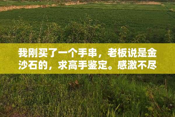 我刚买了一个手串，老板说是金沙石的，求高手鉴定。感激不尽！
