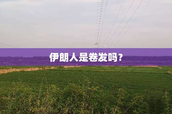 伊朗人是卷发吗？