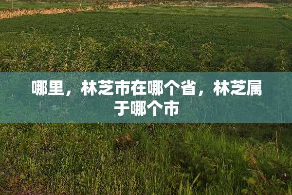 哪里，林芝市在哪个省，林芝属于哪个市