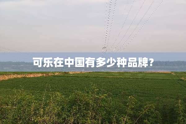 可乐在中国有多少种品牌？