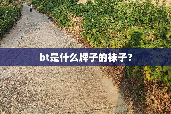 bt是什么牌子的袜子？